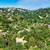 EastBayProperty  -  Sleepy Hollow Orinda 6 thumbnail