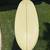 McTavish Rincon Mid length surfboard one of a kind 7-4 12 thumbnail