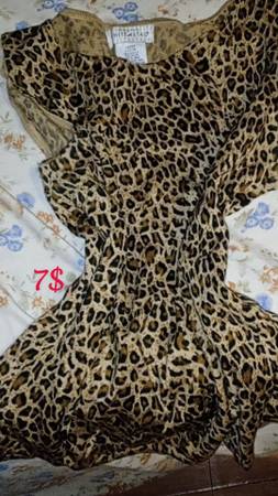 Large cheetah tank 1