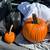 Pumpkin For Halloween 6 thumbnail
