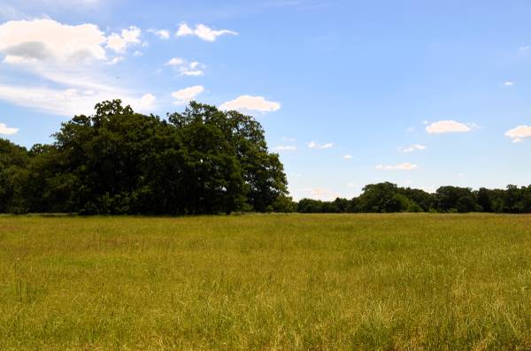 $995,000 FOR SALE: 0 CR 2854!! (Eustace)64037559624451124