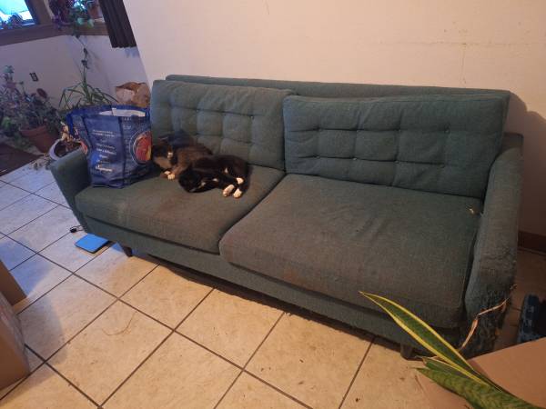 Couch 1