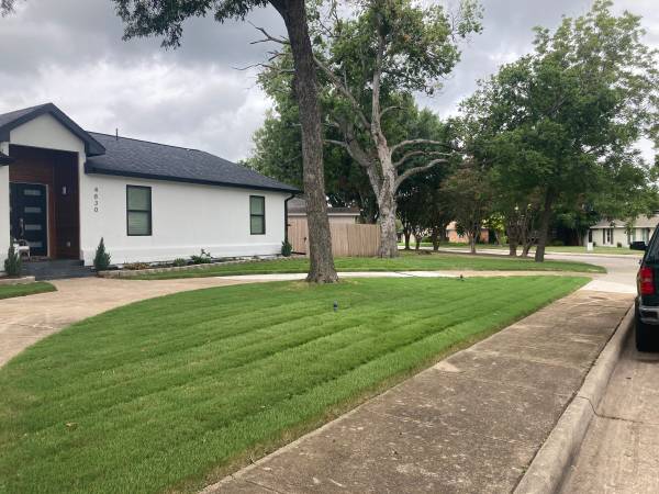 Fall clean ups call today leaves clean up call 1