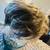 European Naturals Gray/Light Brown Wig 2 thumbnail