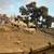 Borregos sheep lambs 4 thumbnail