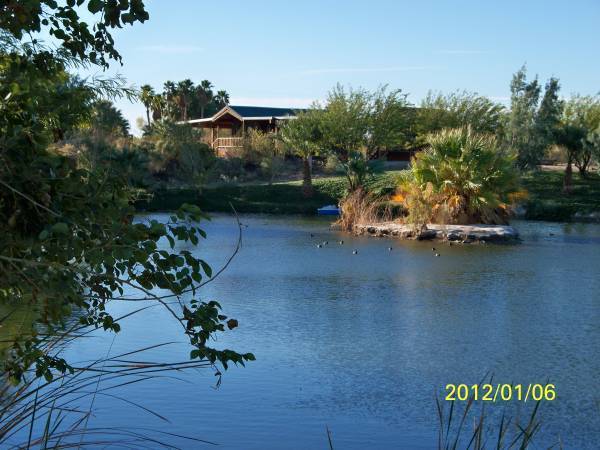 $1,500 / 1br - 300ft2 - *****CABIN ON THE POND***** (Yuma)64214140381571120