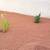 miguel,s landscaping 13 thumbnail