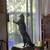 Re homing clients cat 3 thumbnail