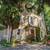 EXCEPTIONAL 18th CENTURY PROVENCE BASTIDE + VINEYARD ESTATE - 35 HA 2 thumbnail