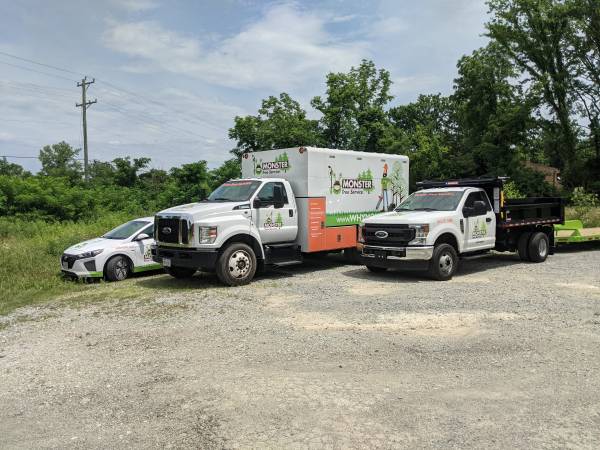 Tree Climber - Monster Tree Service of Cincinnati 1