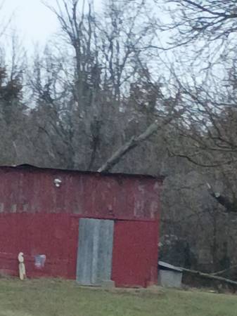 Free wood fell on Barn 1