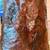 Carved Hollowed-out Tree Trunk Storage 5 thumbnail