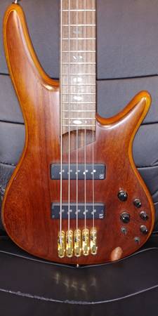 SDGR Premium 5-string Bass Guitar 1