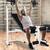 Foldable Bench Press Set with Squat Rack 4 thumbnail