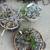 Plant Collection Moving Sale 6 thumbnail