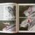 1985 Cypress Gardens Official Program 6 thumbnail