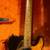 Fender USA neck Telecaster build//USA bridge pickup/Fender hard case 17 thumbnail