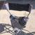 Folding Camping Chairs 2 thumbnail