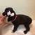 Cocker spaniels 7 thumbnail