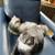 Cat Sitter Available 8 thumbnail