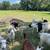 Dorper lambs 2 thumbnail