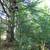 Prime Hunting Property and Cabin 10 thumbnail