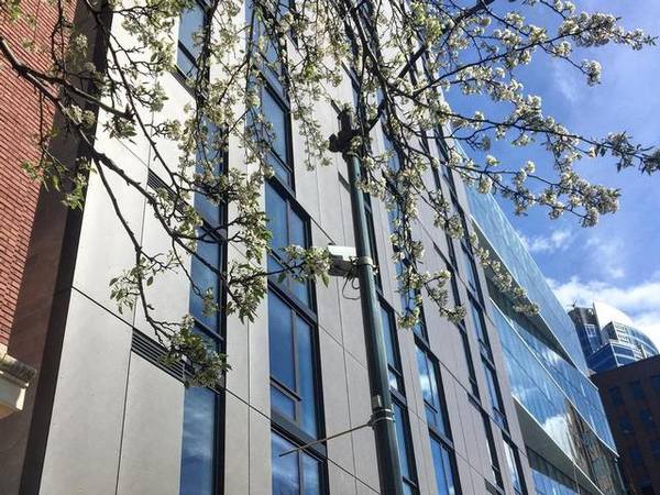 $1,848 / 1br - 426ft2 - Exposed Ceilings, 24-hour Valet Parking, Custom Cabinetry (Steps Away From The Pike Place Market & All Seattle Gem)63850637703555121
