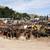 NEW AND USED TRACTOR PARTS AND ATTACHMENTS 17 thumbnail