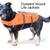 NEW Dog Backpack by Outward Hound * small 1 thumbnail