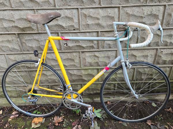Raleigh Technium Scott Tinley GREAT CONDITION Ready To Ride 1