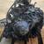 ★ 2007-2009 NISSAN MAXIMA- AUTOMATIC TRANSMISSION -#MS1207★ 3 thumbnail
