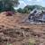 Septic Repair, Driveway Repair, Drainage, Light Clearing & Grading 17 thumbnail