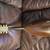 Mayflower Mandolin, Vintage 4 thumbnail