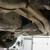PROJECT 2015 PORSCHE MACAN 3.0L FOR BODY PARTS SALVAGE 15 thumbnail