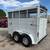 2026 Calico 2-Horse 12x6x7 BP Horse Trailer 3 thumbnail