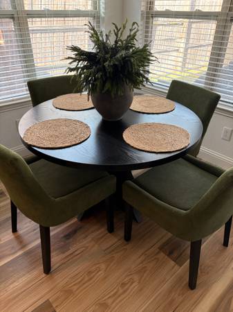 Brand New Dining Chairs 1