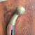 antique horse hames and snaffle bit 3 thumbnail