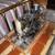 Antique Singer Sewing Machine BZ 15-8 6 thumbnail