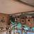 Zebra Finches For Sale. 4 thumbnail