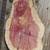 Eastern Red Cedar Rounds Slabs Slices cookies 10 thumbnail