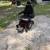 Quantum edge 2.0 electric chair with wheels 1 thumbnail