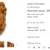 Large Macramé Camel Head 14 thumbnail