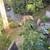 TREE  REMOVE & CLEAN UP SERVICES PREVENT FIRE EAST BAY 17 thumbnail