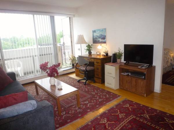$2,800 / 1br - 500ft2 - Avl SEP 15 - Fully-Furnished Sunny 1BR - Utils Incl - Walk to HARVARD! (Harvard Square, Cambridge MA)63699469259521123