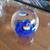 Vintage Fish Aquarium Glass Ball Paperweight 1 thumbnail