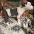 Puppies 1 thumbnail