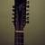 Fesley 12-String acoustic/electric guitar 2 thumbnail