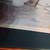 J Thompson Polar Bear Print 5 thumbnail
