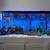 Complete 75 gallon aquarium setup 1 thumbnail