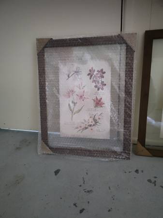 Botanical Framed Art 1
